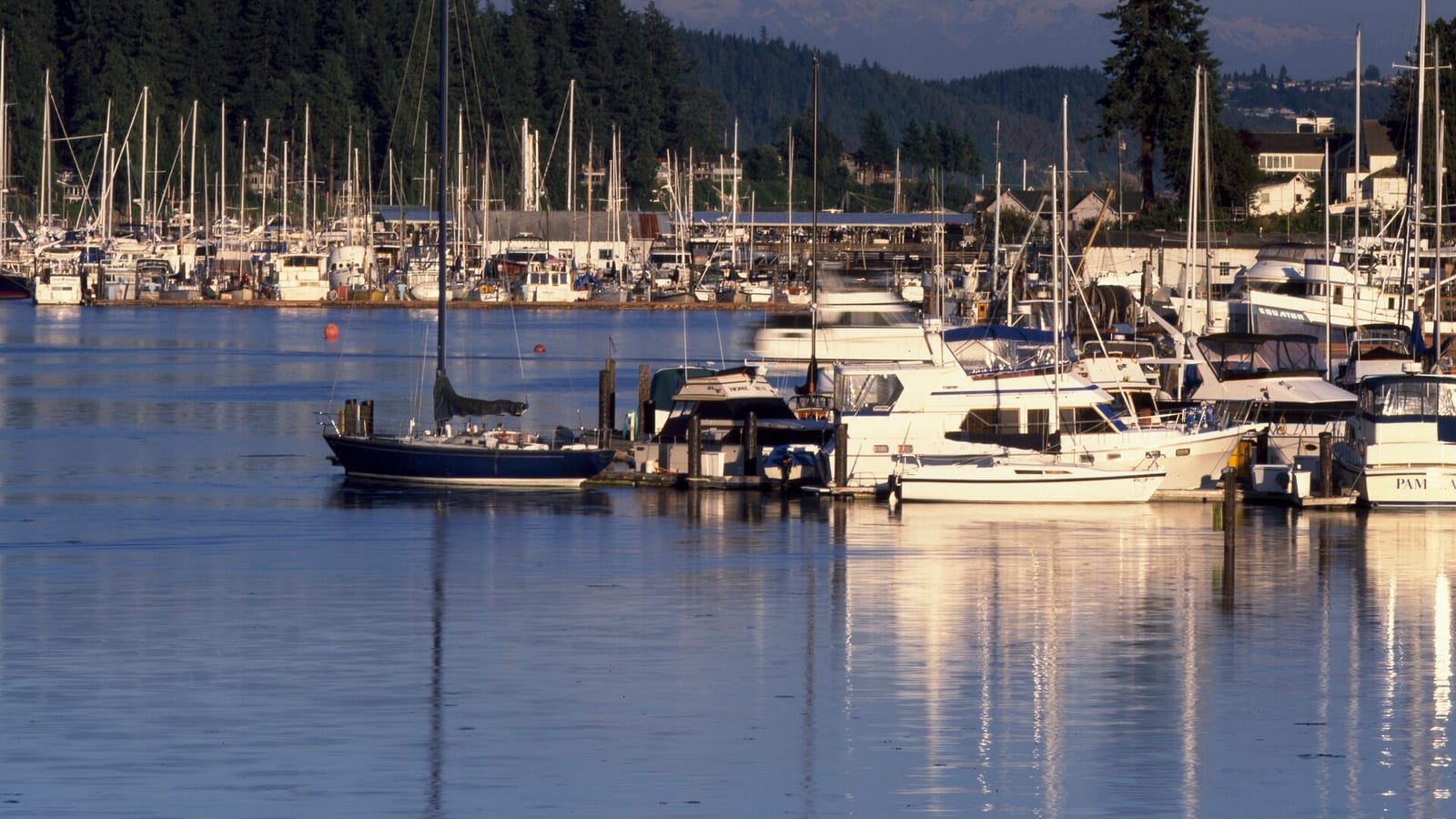 Gig Harbor — Remote Online Notarization (RON) in Washington — Is It Legal?